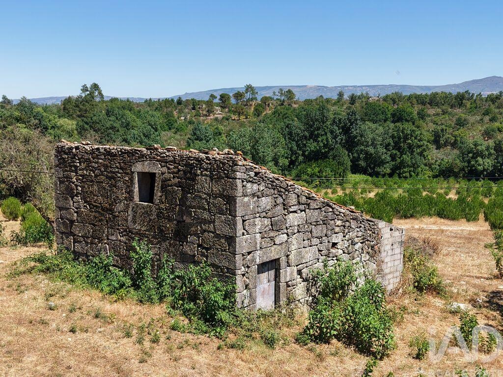 Land in Abrunhosa-a-Velha - Image 4