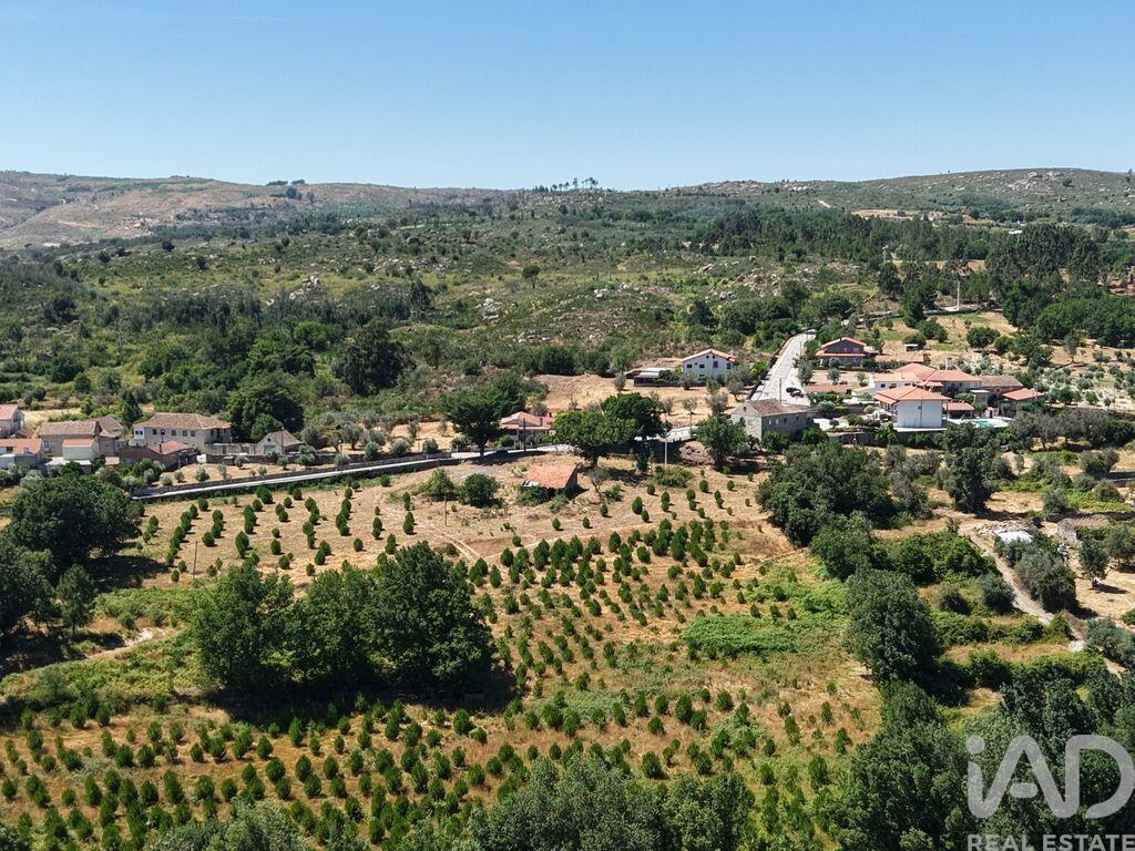 Land in Abrunhosa-a-Velha - Image 3