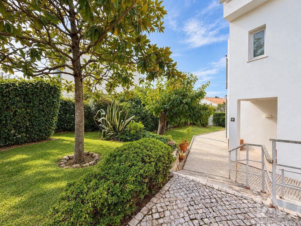 House in Sao Pedro - Image 2