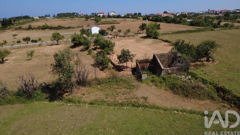 Land in Seia - Image 2