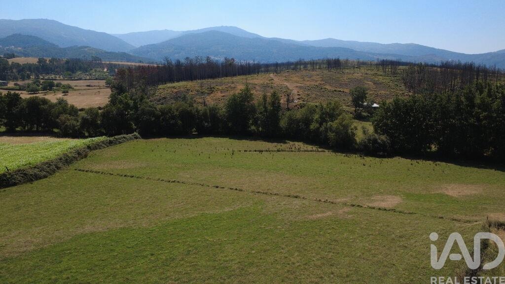 Land in Seia - Image 4