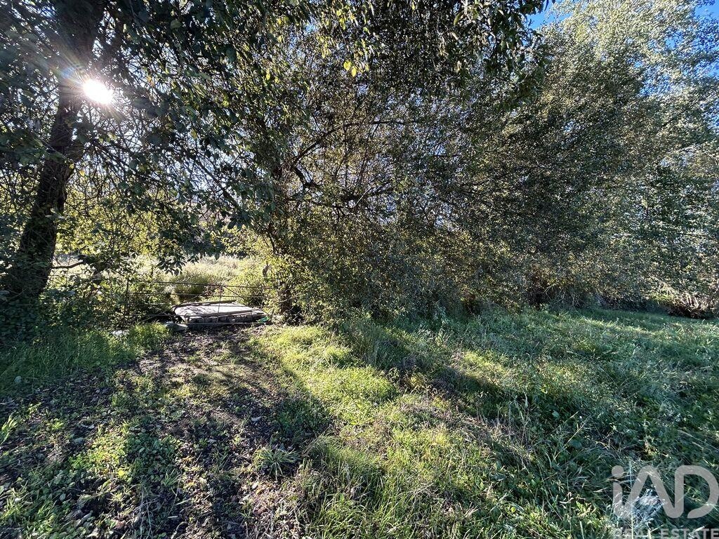 Land in Seia - Image 5