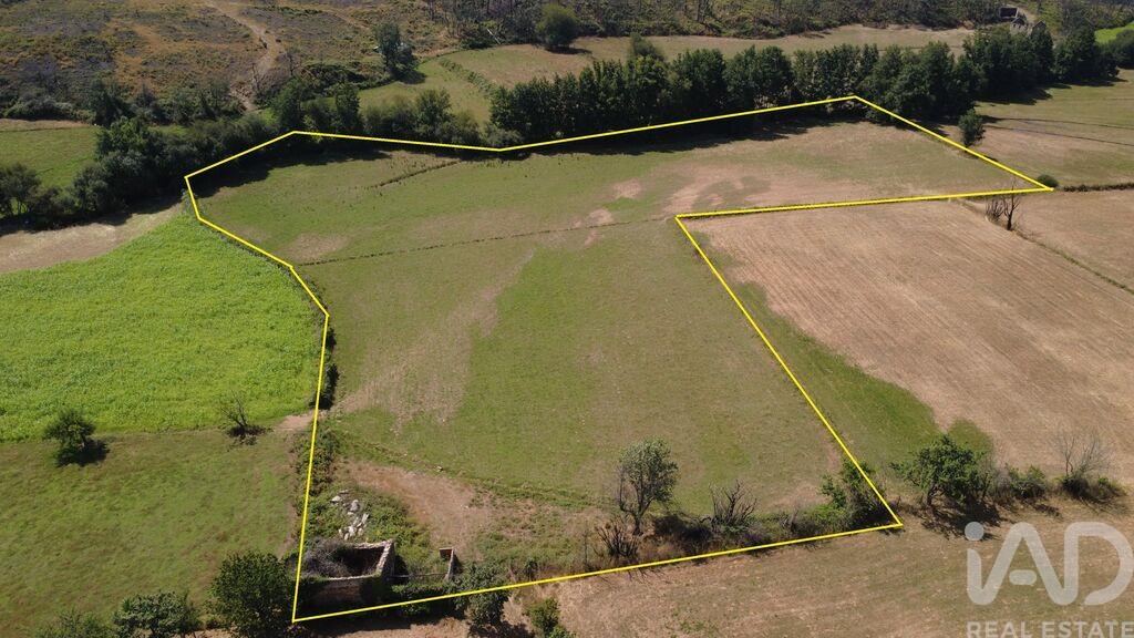 Land in Seia - view 1