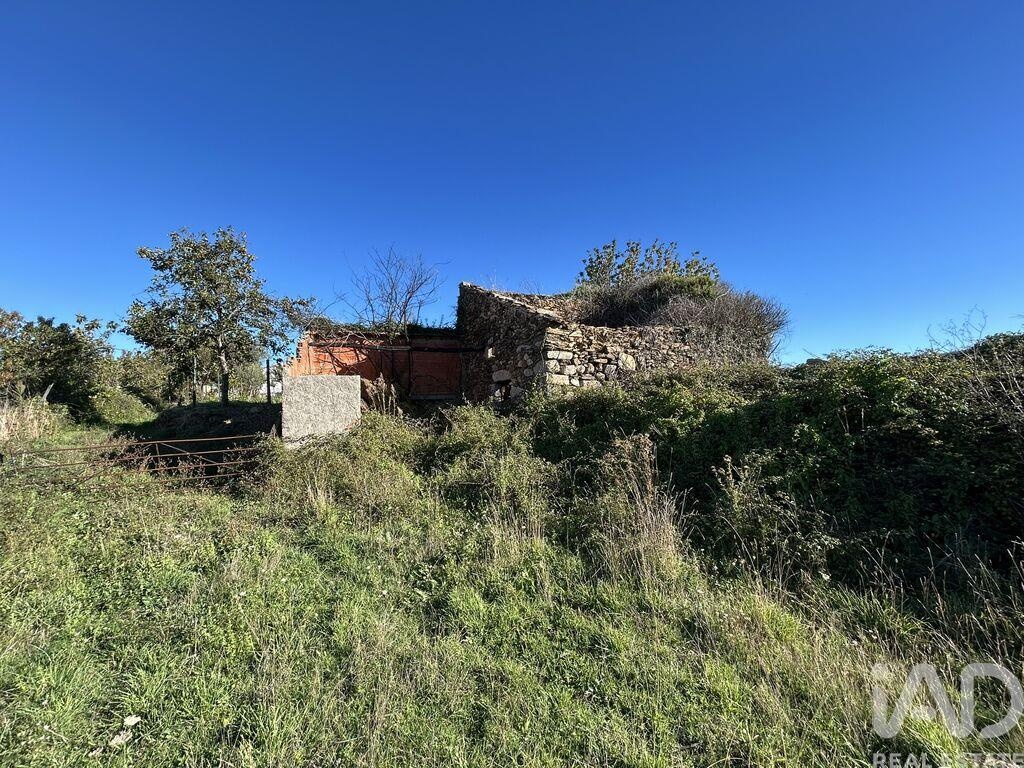Land in Seia - Image 3