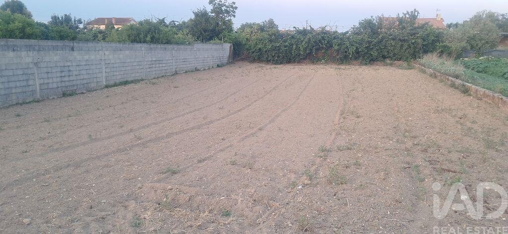 Land in Ouca - Image 2