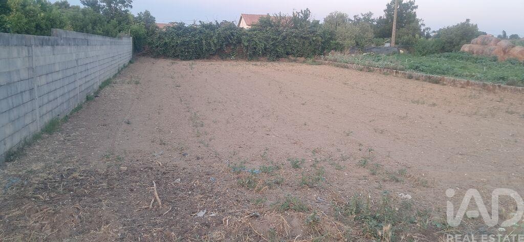 Land in Ouca - Image 3