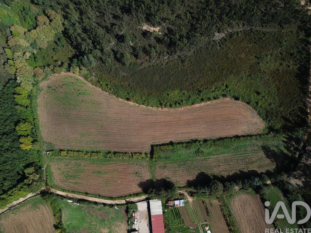 Land in Alfena - view 1