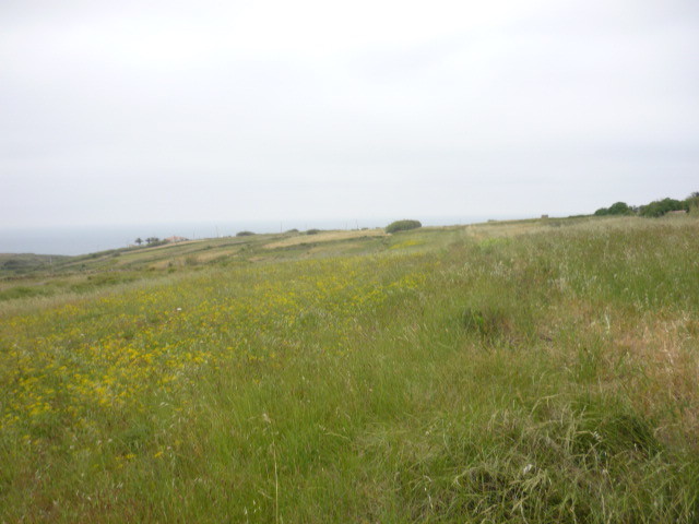Land for sale in Loulé, Portugal — €950,000