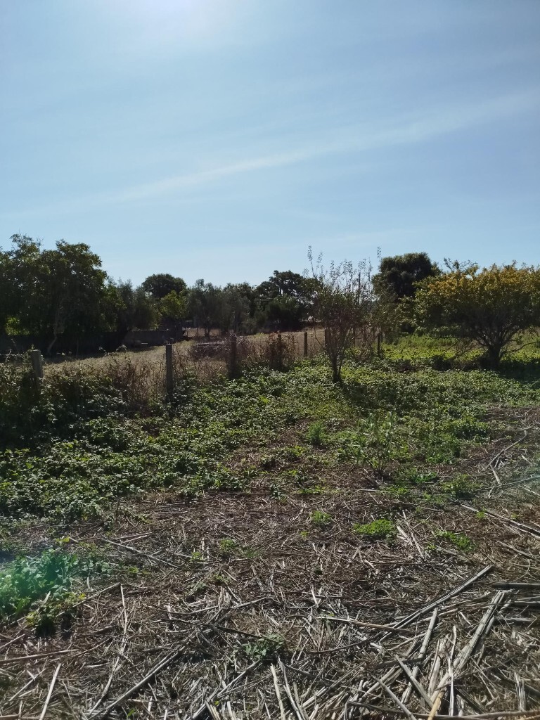 Land for sale in Sintra, Portugal — €200,000
