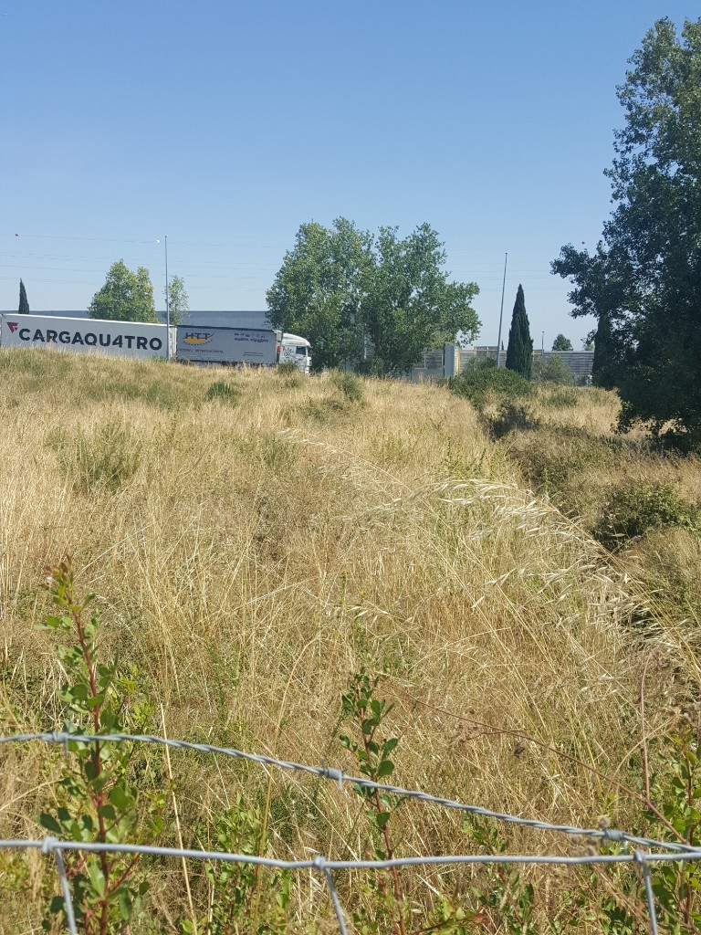 Land for sale in Azambuja, Portugal — €760,000