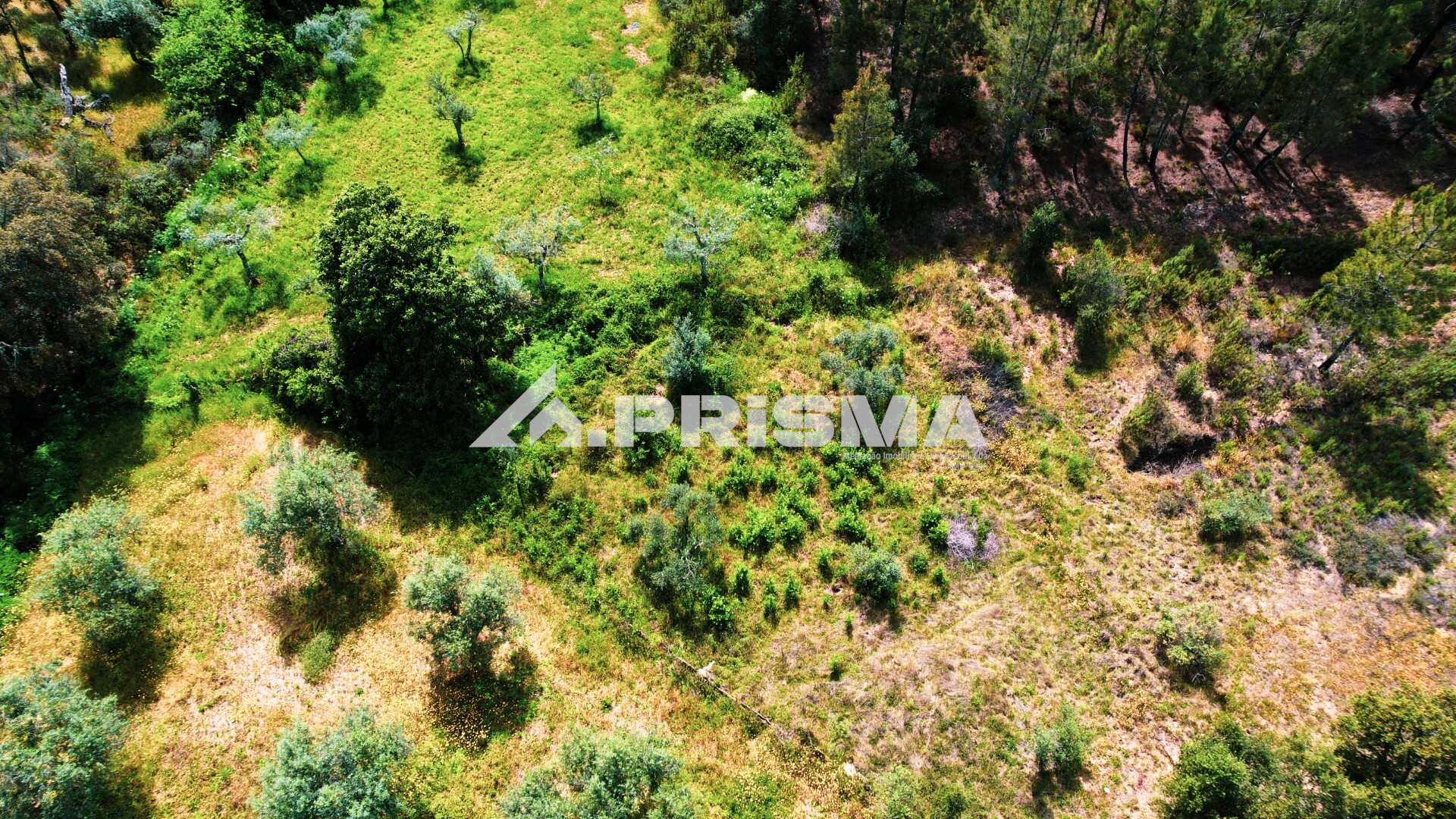 Rustic land for sale in Sarzedas