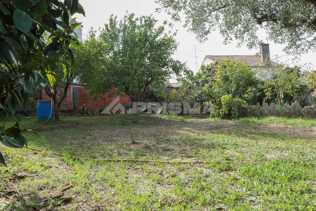 Rustic land for sale in Amarelos, Sarnadas de Ródão