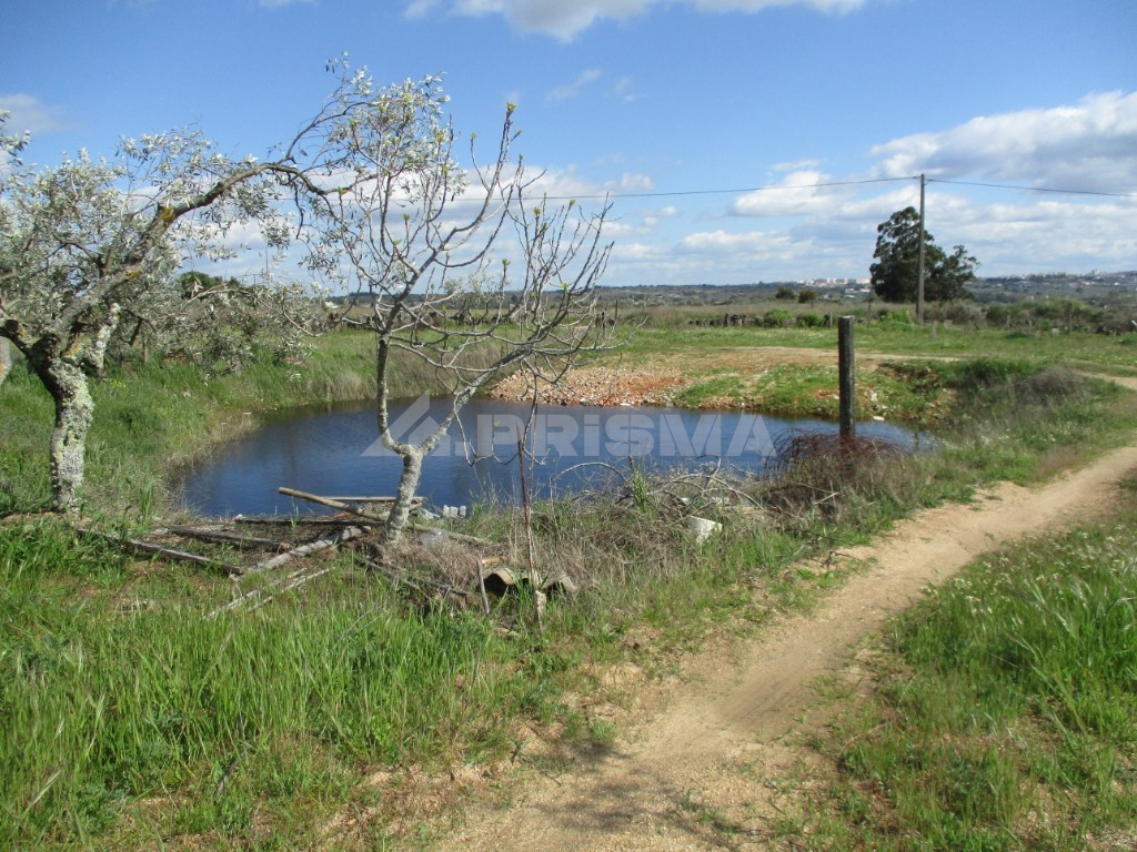 Farm with lots of water, excellent access, with several attachments.