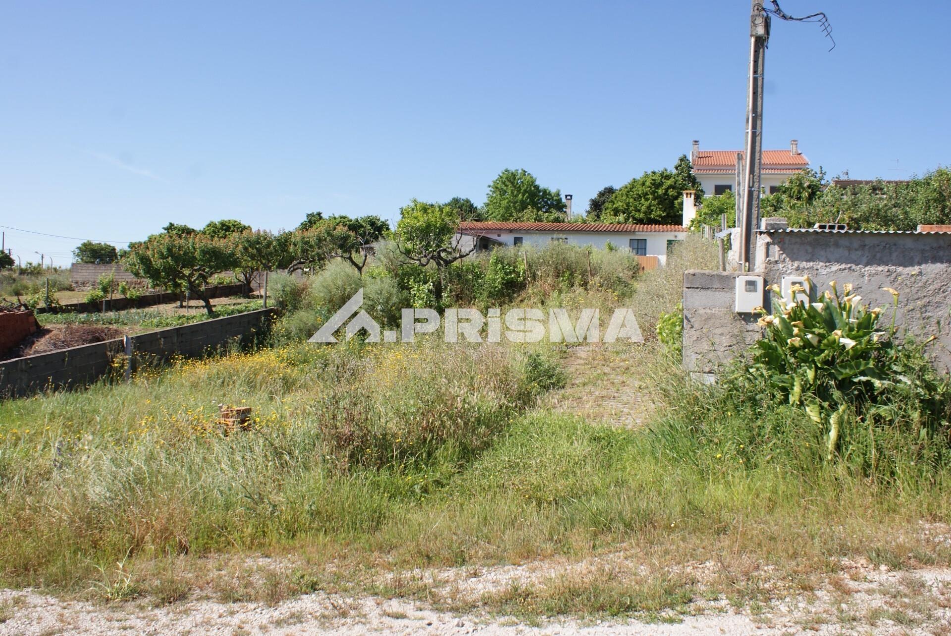 Land for sale in Castelo Branco