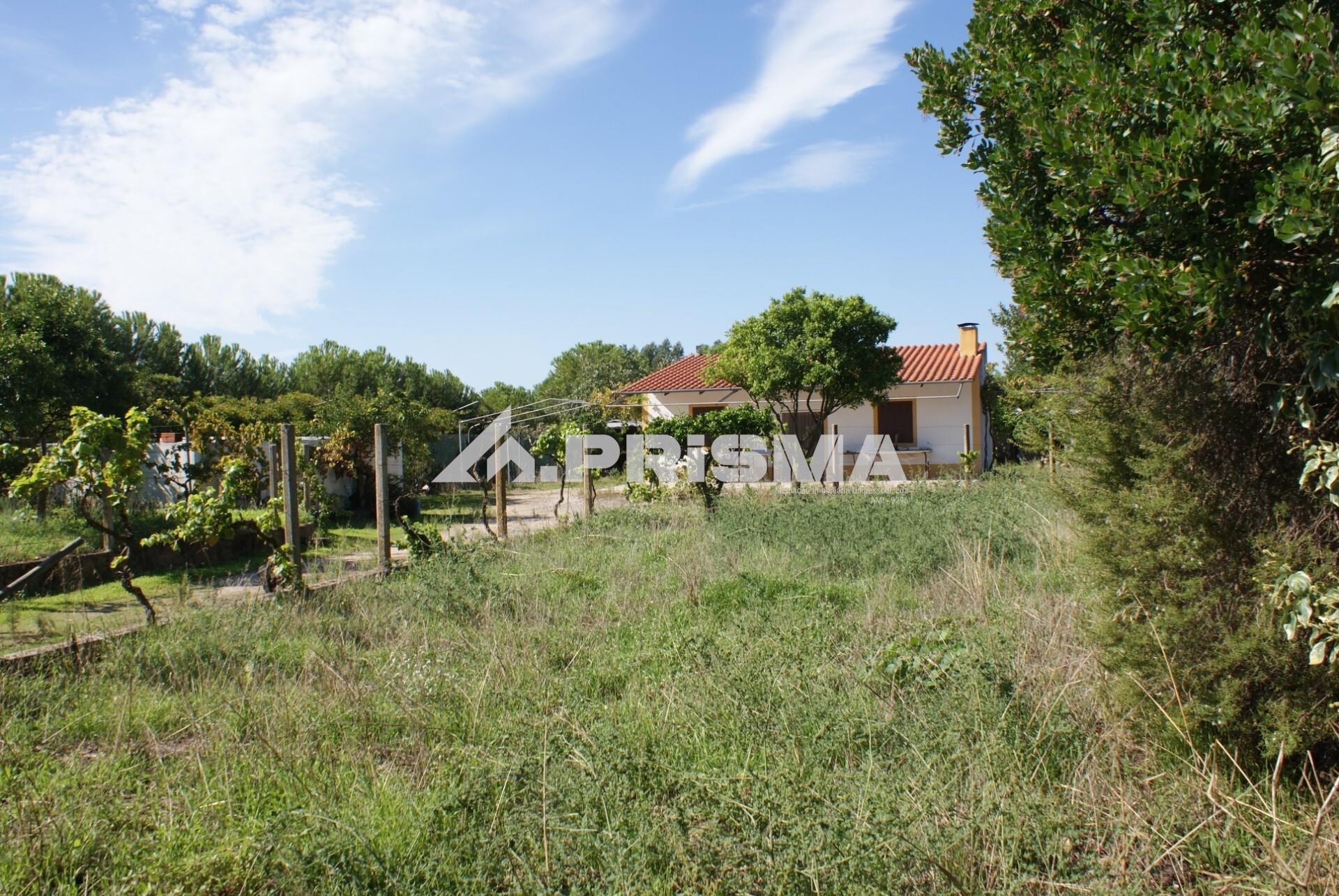 Farm for sale in Castelo Branco