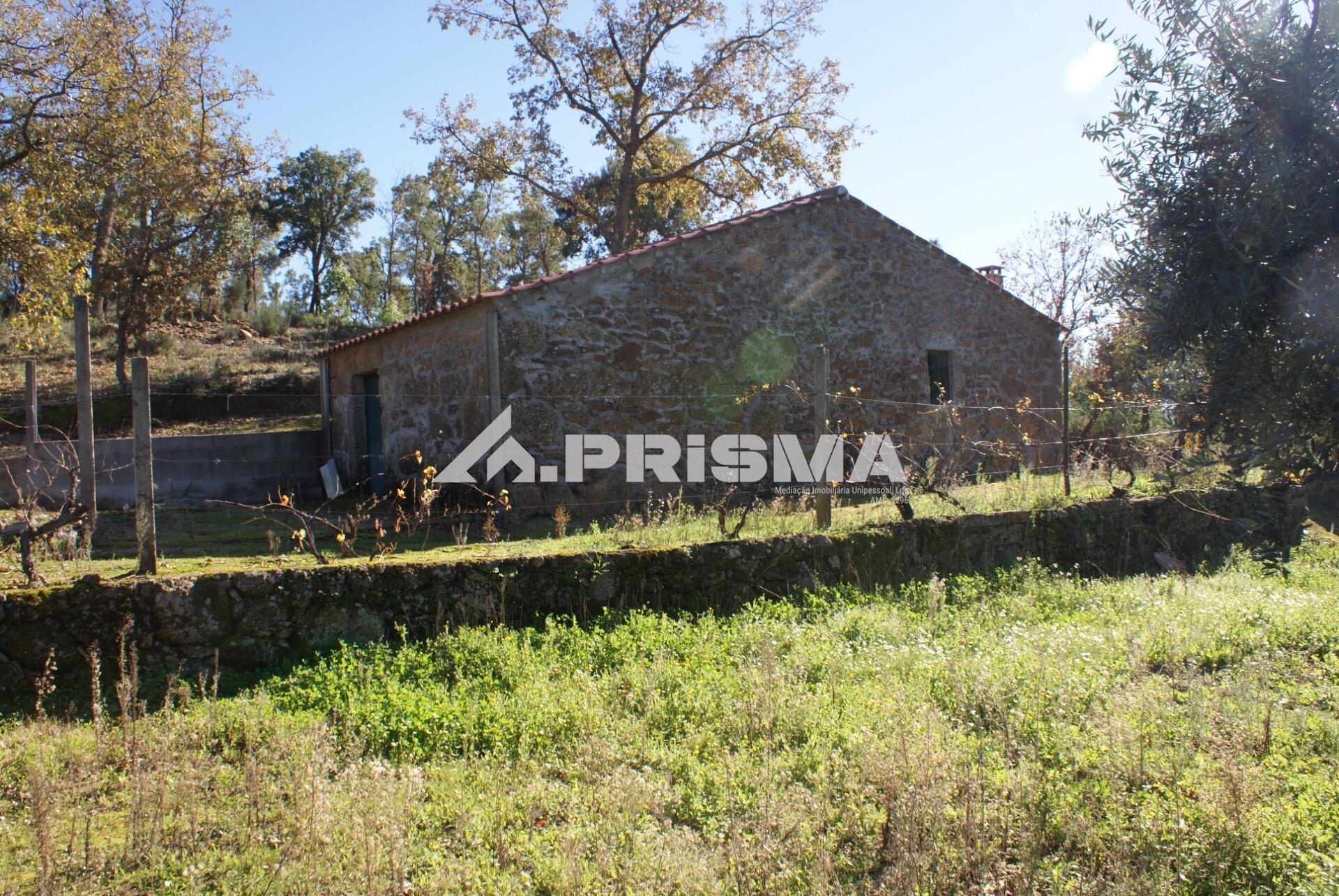 Rustic land for sale in Pêro Viseu