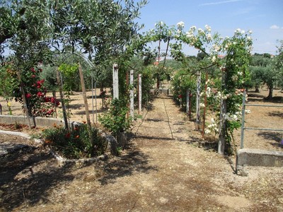 Venda - Quinta/Herdade